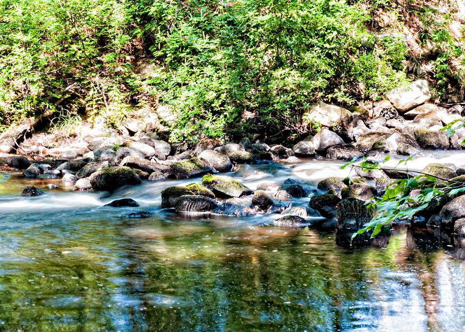pond and stones